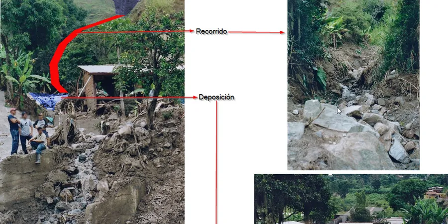 Illustrative image of Flujos detritos in Delta BC