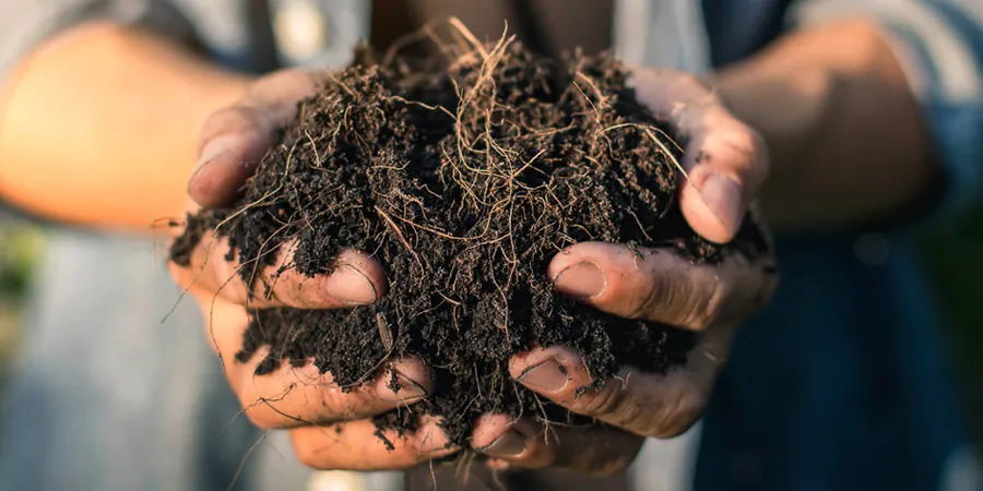 Illustrative image of Suelos organicos in Delta BC